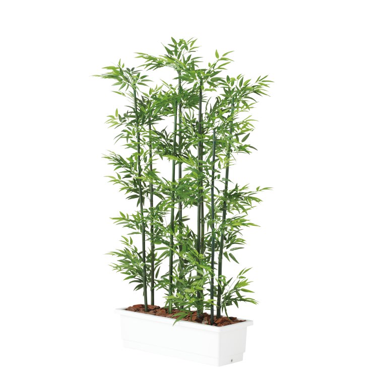  ѡơ W100D50H180cmTK91662 ƥե륰꡼ ͹տʪ ͹ ȭդ꡼