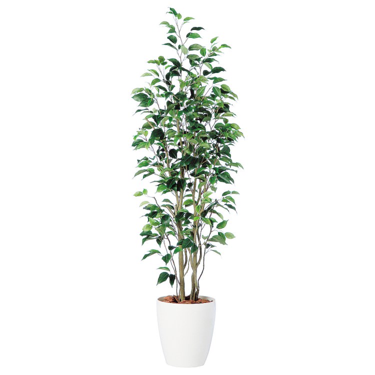 �٥󥸥�ߥ� ����� FST W50��H150cm��TK98649 �����ƥ��ե�����륰�꡼�� �͹����տ�ʪ �͹����� ȭ�դ����꡼��