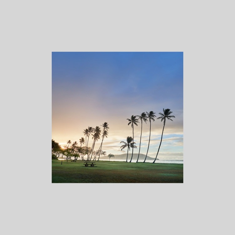 IGREBOW �ϥ磻 �������Υ��磻�����ӡ����ѡ�����[���å� 1��1] ��������ܥ� ����ƥꥢ�ե��� �ԥ����㡼������ �̿�