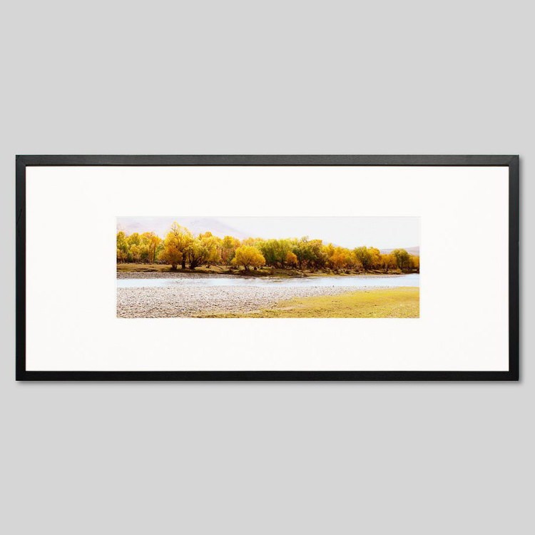 IGREBOW 󥴥 ƥ른[å 13] ܥ ƥꥢե ԥ㡼 ̿