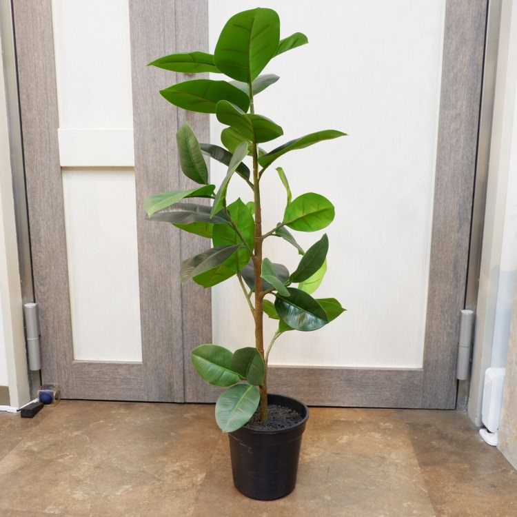 Сݥå95cmP4858 ƥե륰꡼ ͹տʪ ͹ ʰȭդ꡼