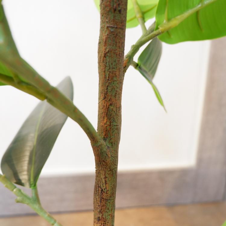 Сݥå95cmP4858 ƥե륰꡼ ͹տʪ ͹ ʰȭդ꡼