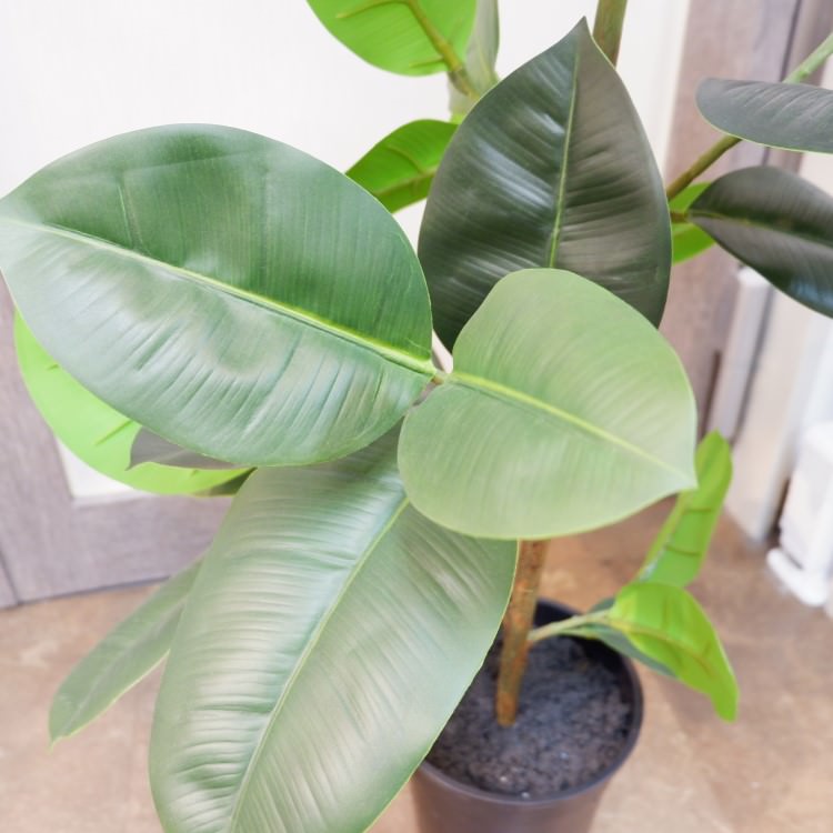 Сݥå95cmP4858 ƥե륰꡼ ͹տʪ ͹ ʰȭդ꡼