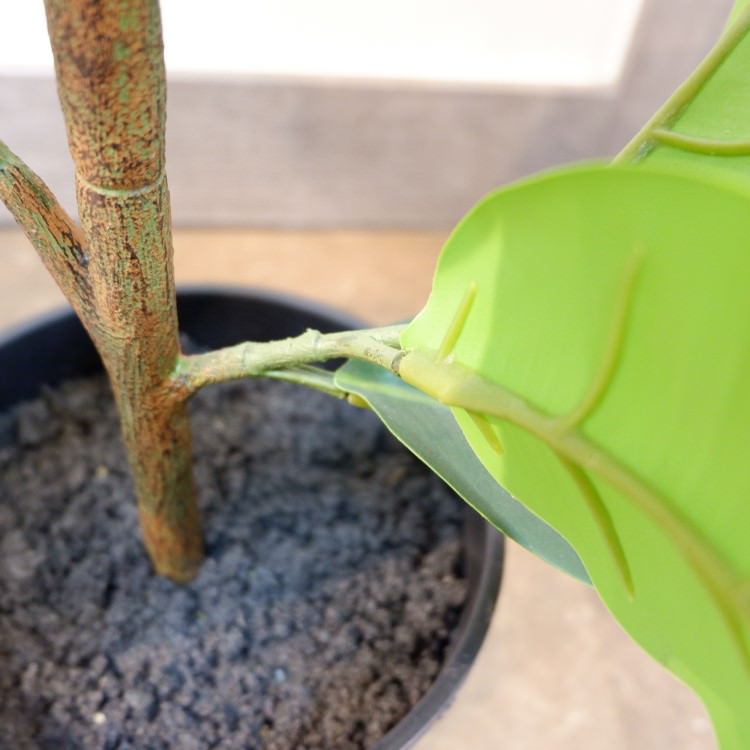 Сݥå95cmP4858 ƥե륰꡼ ͹տʪ ͹ ʰȭդ꡼