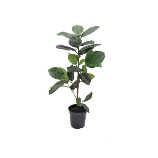 Сݥå95cmP4858 ƥե륰꡼ ͹տʪ ͹ ʰȭդ꡼