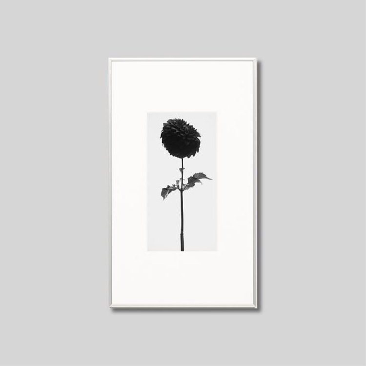 IGREBOW ���ꥢ�β֡�[����� 1��2] ��������ܥ� ����ƥꥢ�ե��� �ԥ����㡼������ �̿�