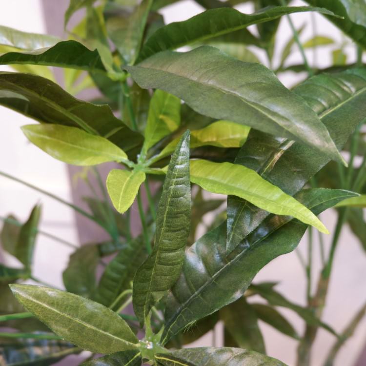 ѥݥå142cmV22106 ƥե륰꡼ ͹տʪ ͹ ʰȭդ꡼