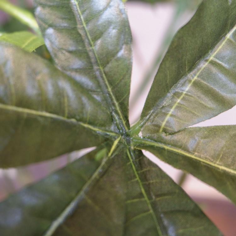 ѥݥå142cmV22106 ƥե륰꡼ ͹տʪ ͹ ʰȭդ꡼