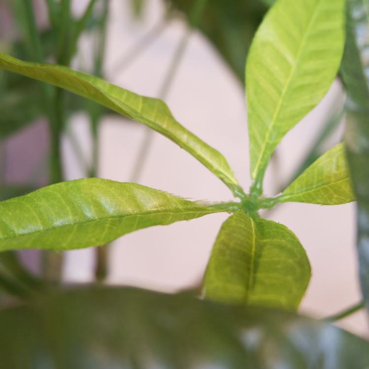 ѥݥå142cmV22106 ƥե륰꡼ ͹տʪ ͹ ʰȭդ꡼