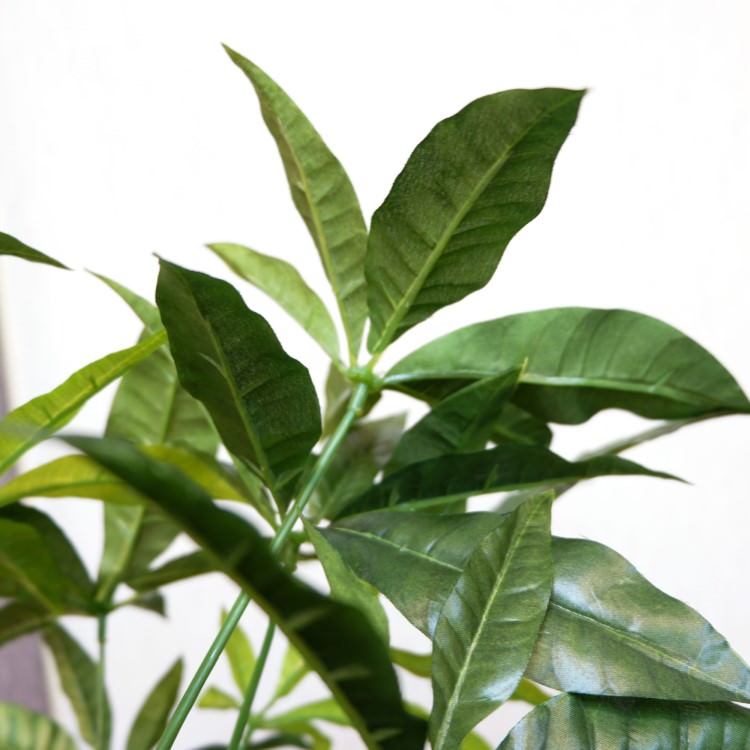 ѥݥå142cmV22106 ƥե륰꡼ ͹տʪ ͹ ʰȭդ꡼