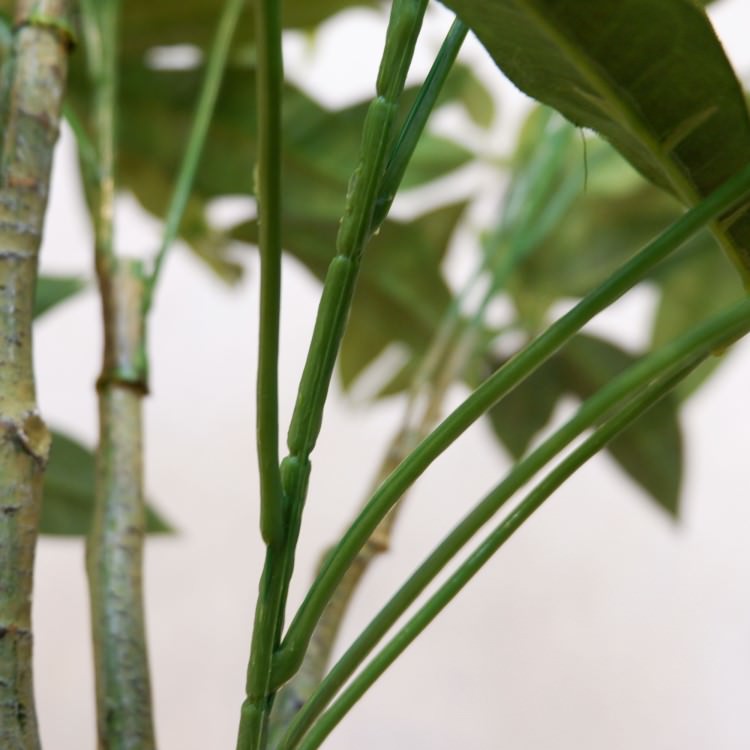 ѥݥå142cmV22106 ƥե륰꡼ ͹տʪ ͹ ʰȭդ꡼