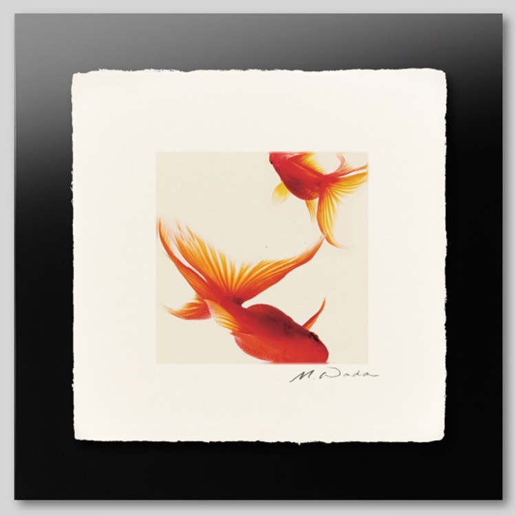 IGREBOW  [» 11] ܥ ƥꥢե ԥ㡼 ̿