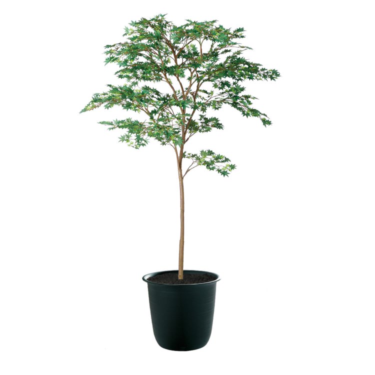 ��ޥ�ߥ� GREEN FST W110��H180cm��TK91759 �����ƥ��ե�����륰�꡼�� �͹����տ�ʪ �͹����� ȭ�դ����꡼��