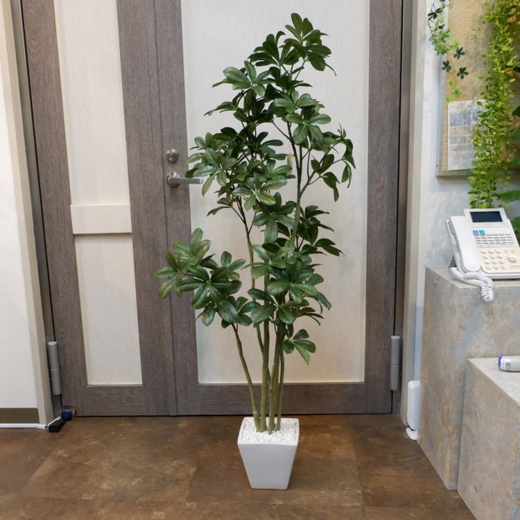 եݥå126cmV22107 ƥե륰꡼ ͹տʪ ͹ ʰȭդ꡼