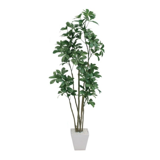 եݥå126cmV22107 ƥե륰꡼ ͹տʪ ͹ ʰȭդ꡼