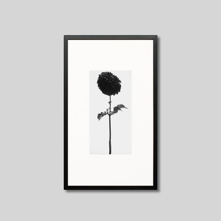 IGREBOW ���ꥢ�β֡�[���å� 1��2] ��������ܥ� ����ƥꥢ�ե��� �ԥ����㡼������ �̿�