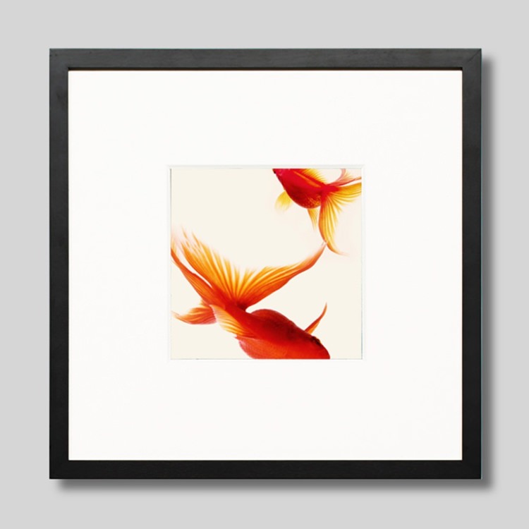 IGREBOW  [å 11] ܥ ƥꥢե ԥ㡼 ̿