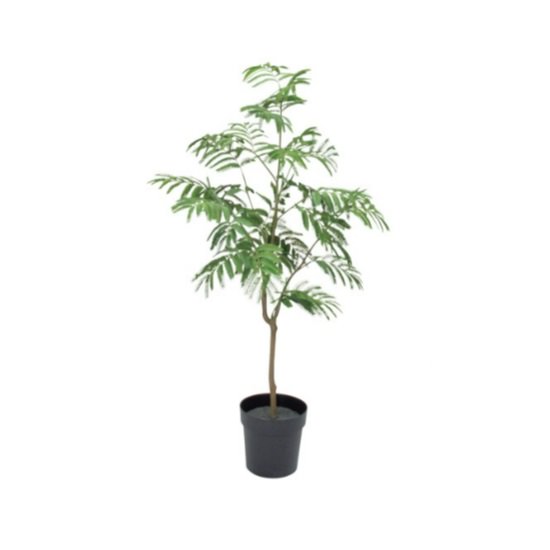 Сեåݥå127cmVR22001 ƥե륰꡼ ͹տʪ ͹ ʰȭդ꡼