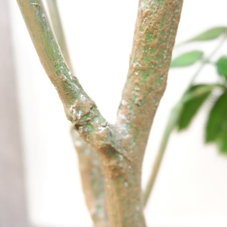 Сեåݥå127cmVR22001 ƥե륰꡼ ͹տʪ ͹ ʰȭդ꡼