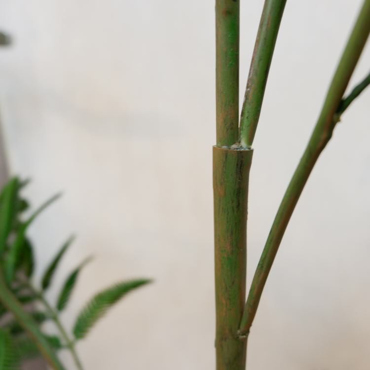 Сեåݥå127cmVR22001 ƥե륰꡼ ͹տʪ ͹ ʰȭդ꡼