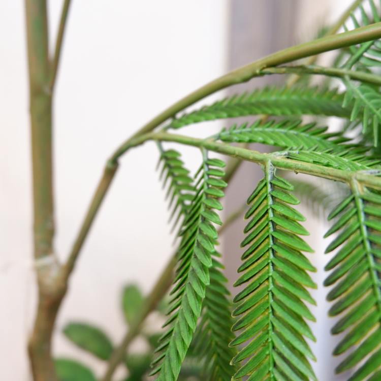 Сեåݥå127cmVR22001 ƥե륰꡼ ͹տʪ ͹ ʰȭդ꡼