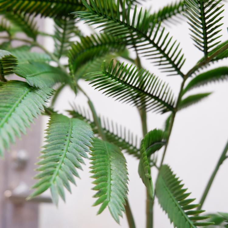 Сեåݥå127cmVR22001 ƥե륰꡼ ͹տʪ ͹ ʰȭդ꡼