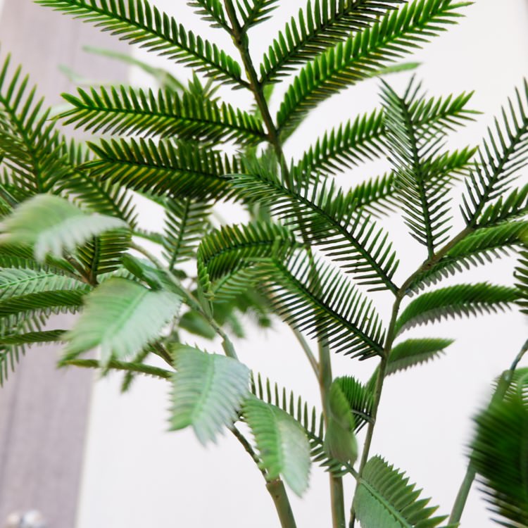 Сեåݥå127cmVR22001 ƥե륰꡼ ͹տʪ ͹ ʰȭդ꡼