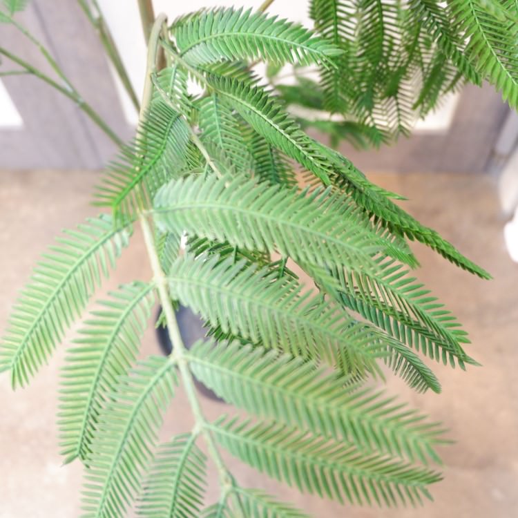 Сեåݥå127cmVR22001 ƥե륰꡼ ͹տʪ ͹ ʰȭդ꡼