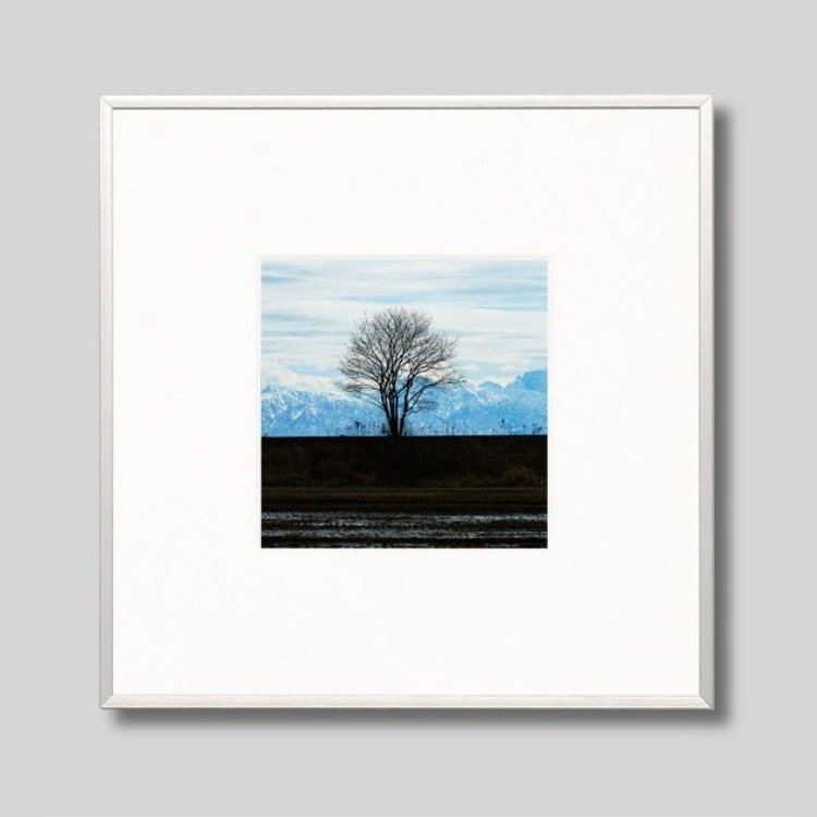 IGREBOW ǽ ɤڤΩϢ[ 11] ܥ ƥꥢե ԥ㡼 ̿