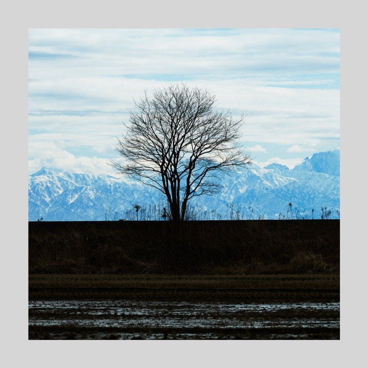 IGREBOW ǽ ɤڤΩϢ[ 11] ܥ ƥꥢե ԥ㡼 ̿