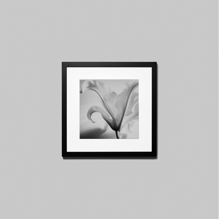 IGREBOW ���β� �ӥå���������[���å� 1��1] ��������ܥ� ����ƥꥢ�ե��� �ԥ����㡼������ �̿�