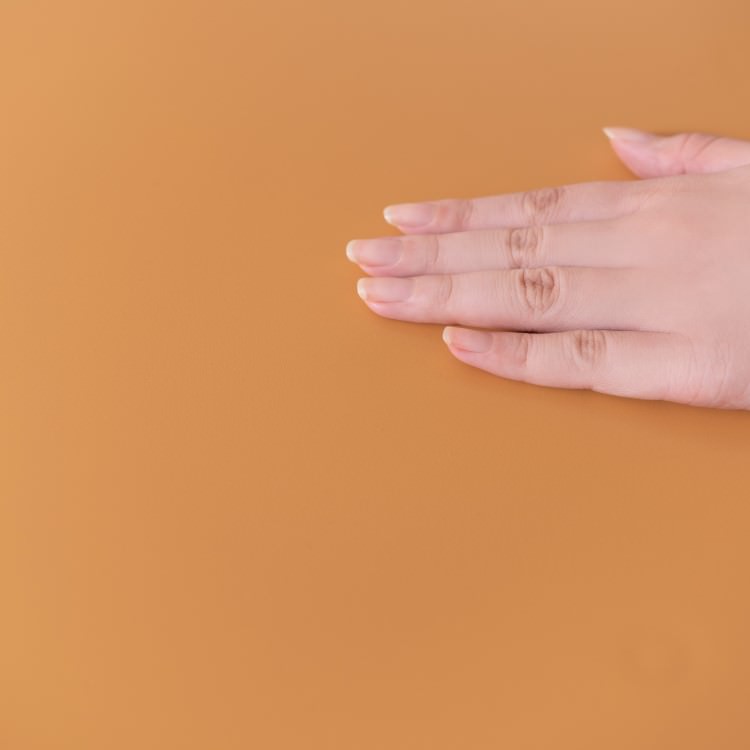 �����ǥ��ʥ꡼ ������ �������� 4�ӥ��åȡ���ë AZUMAYA ������ ��Ω�� �ǥ�����ե��˥��㡼 ����ƥꥢ �ȶ�