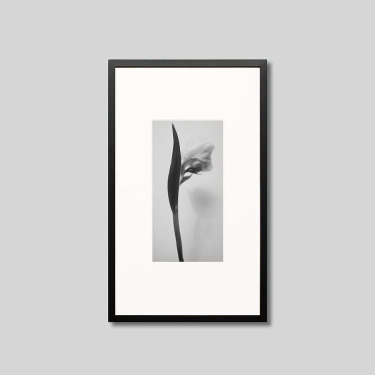 IGREBOW ���塼��åפβ֡�[���å� 1��2] ��������ܥ� ����ƥꥢ�ե��� �ԥ����㡼������ �̿�