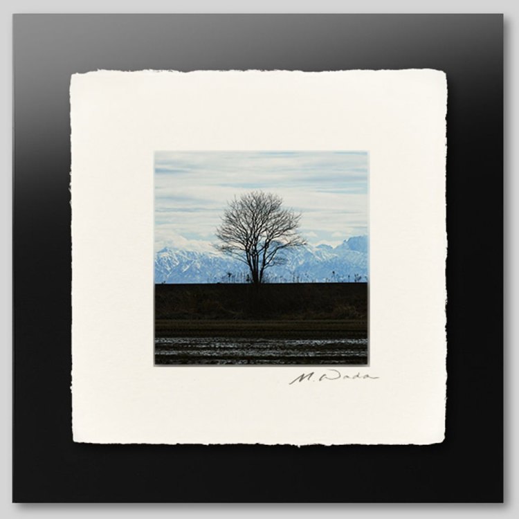 IGREBOW ǽ ɤڤΩϢ[» 11] ܥ ƥꥢե ԥ㡼 ̿