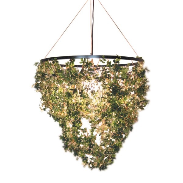 DI CLASSE(�ǥ�����å�)�Υڥ����ȥ��ס�Foresti grande �ե��쥹�ƥ������� ���꡼�� [Ǽ��̤��]