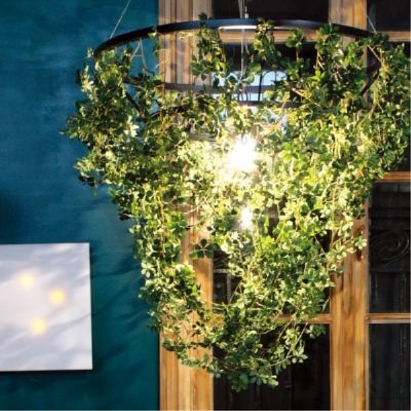 DI CLASSE(�ǥ�����å�)�Υڥ����ȥ��ס�Foresti grande �ե��쥹�ƥ������� ���꡼�� [Ǽ��̤��]