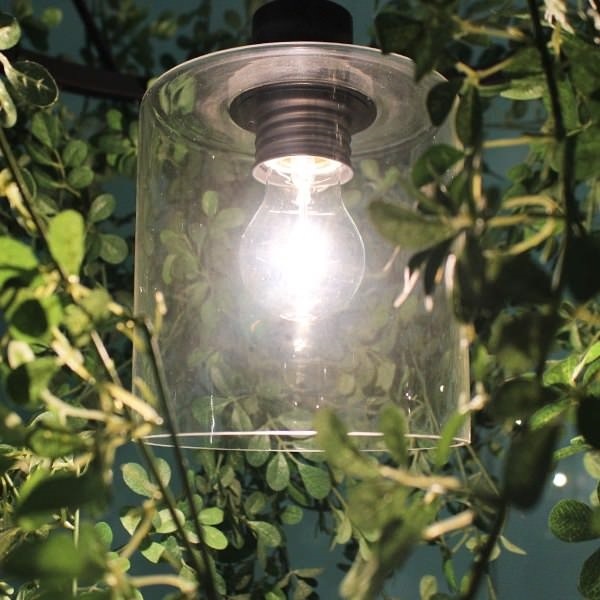 DI CLASSE(�ǥ�����å�)�Υڥ����ȥ��ס�Foresti grande �ե��쥹�ƥ������� ���꡼�� [Ǽ��̤��]