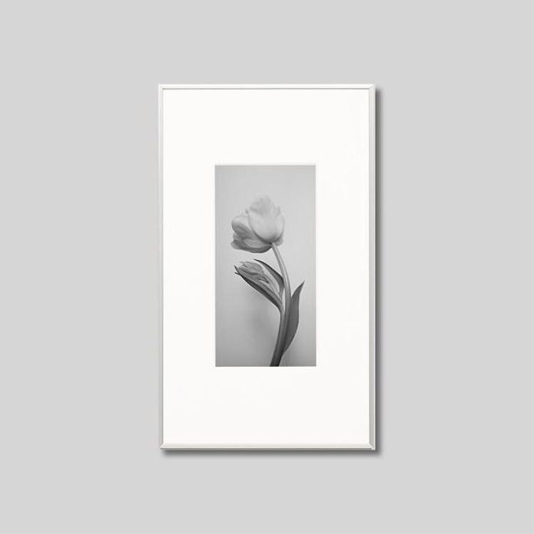 IGREBOW 塼åפβ֡[ 12] ܥ ƥꥢե ԥ㡼 ̿