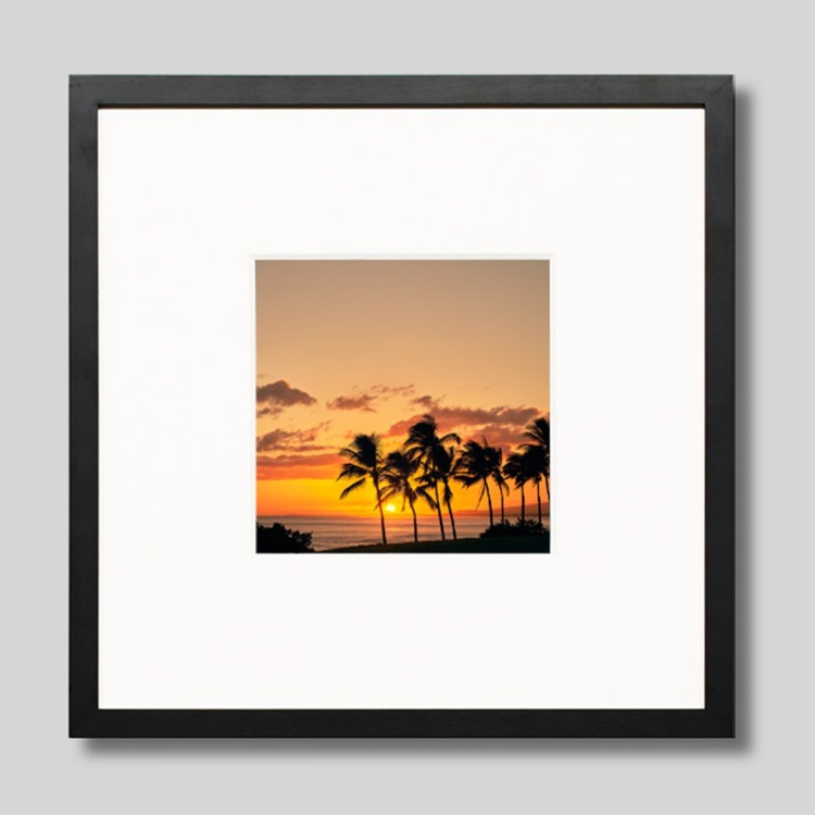 IGREBOW ϥ磻 ͼޤ볤ȥ䥷ڡ[å 11] ܥ ƥꥢե ԥ㡼 ̿