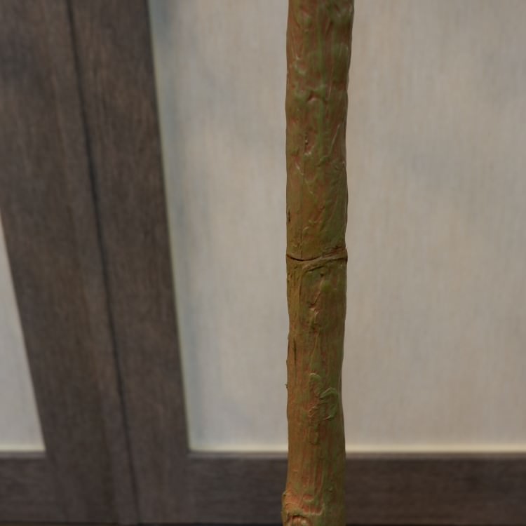 ե桼ݥå(Ω)213cmVR22007 ƥե륰꡼ ͹տʪ ͹ ʰȭդ꡼