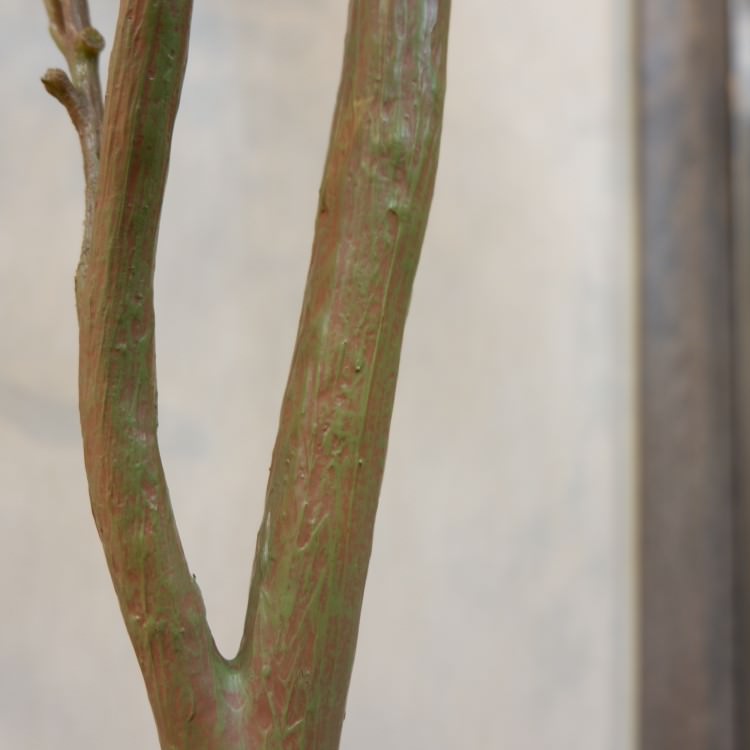 ե桼ݥå(Ω)213cmVR22007 ƥե륰꡼ ͹տʪ ͹ ʰȭդ꡼