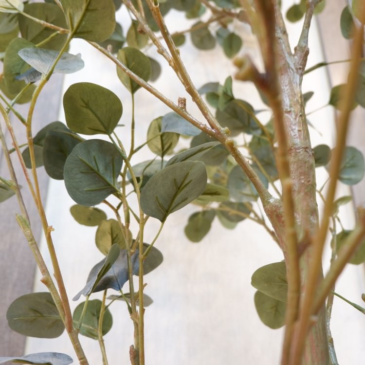 ե桼ݥå(Ω)213cmVR22007 ƥե륰꡼ ͹տʪ ͹ ʰȭդ꡼