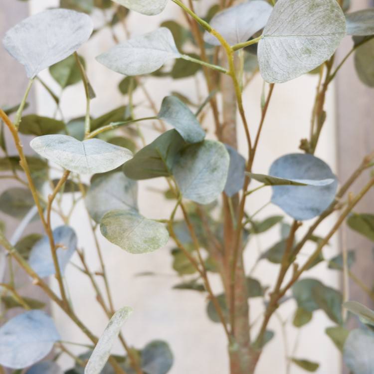 ե桼ݥå(Ω)213cmVR22007 ƥե륰꡼ ͹տʪ ͹ ʰȭդ꡼