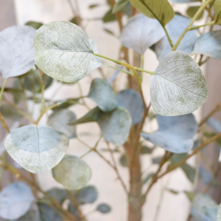 ե桼ݥå(Ω)213cmVR22007 ƥե륰꡼ ͹տʪ ͹ ʰȭդ꡼