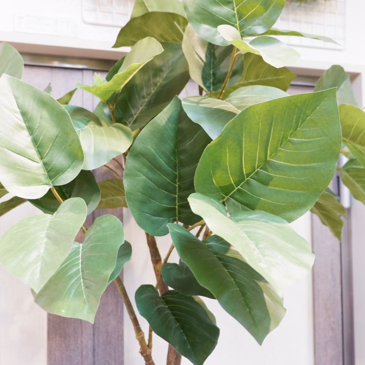 ٥顼ݥå(Ω)208cmVR22013 ƥե륰꡼ ͹տʪ ͹ ʰȭդ꡼