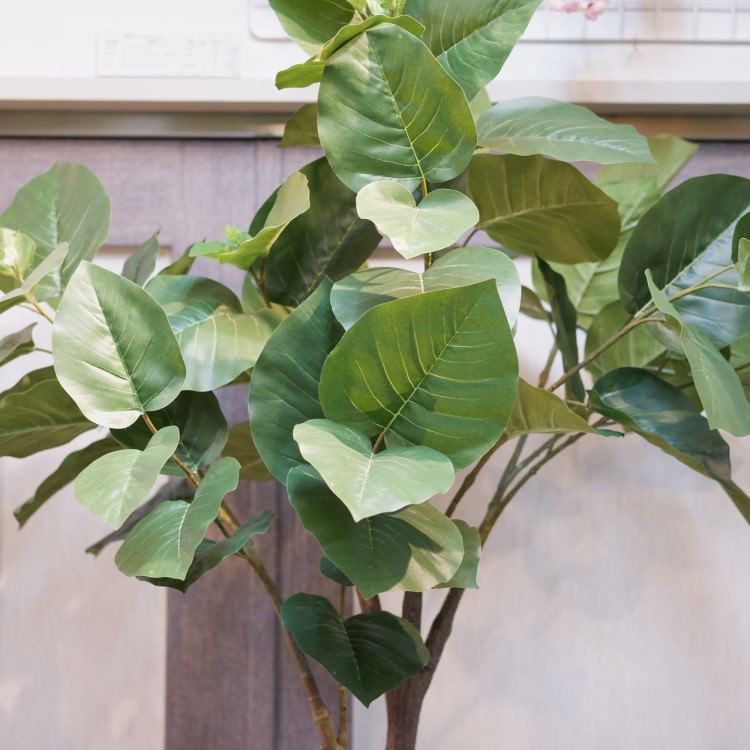 ٥顼ݥå(Ω)208cmVR22013 ƥե륰꡼ ͹տʪ ͹ ʰȭդ꡼