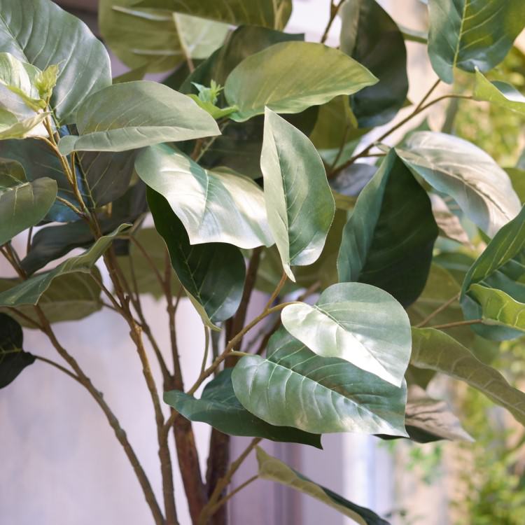 ٥顼ݥå(Ω)208cmVR22013 ƥե륰꡼ ͹տʪ ͹ ʰȭդ꡼