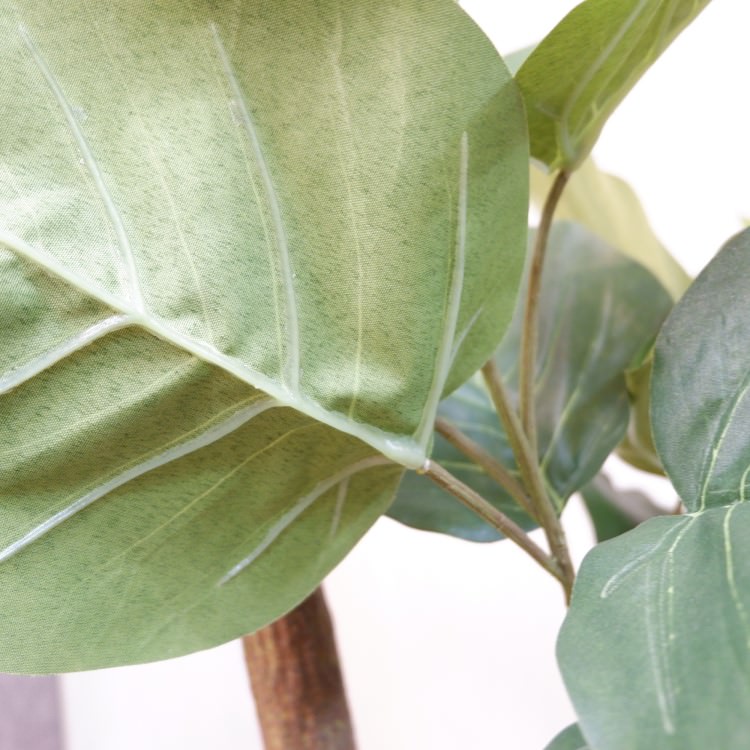 ٥顼ݥå(Ω)208cmVR22013 ƥե륰꡼ ͹տʪ ͹ ʰȭդ꡼