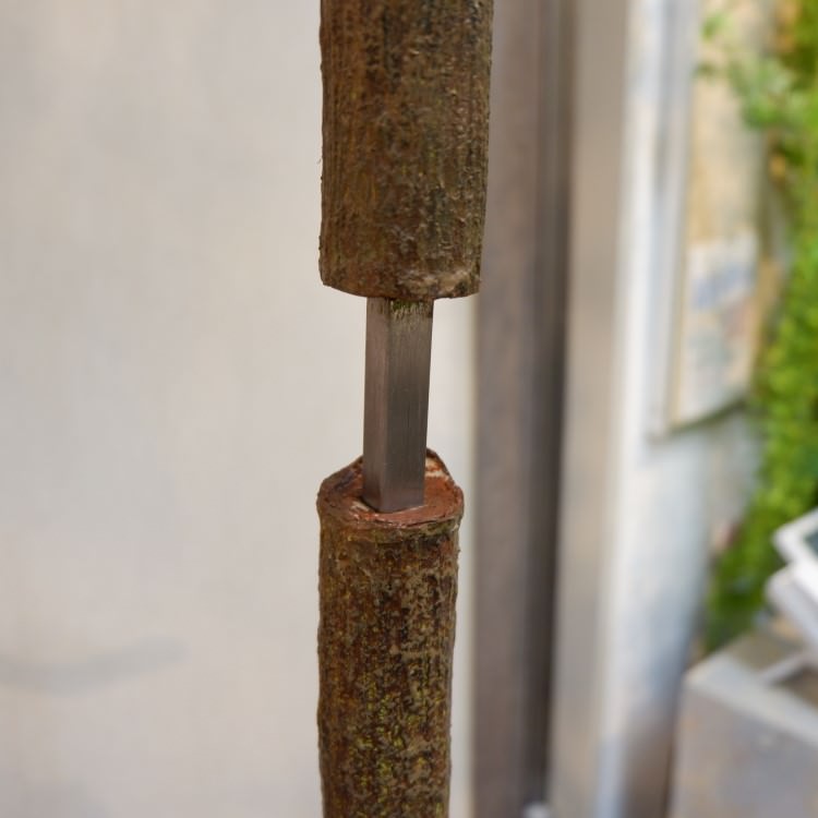 ٥顼ݥå(Ω)208cmVR22013 ƥե륰꡼ ͹տʪ ͹ ʰȭդ꡼