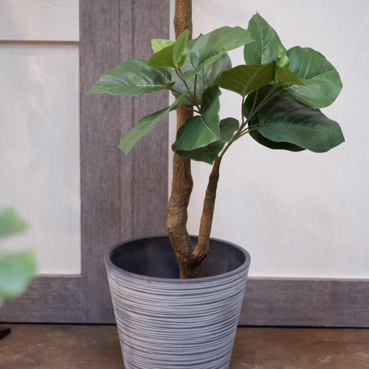 ٥顼ݥå(Ω)208cmVR22013 ƥե륰꡼ ͹տʪ ͹ ʰȭդ꡼